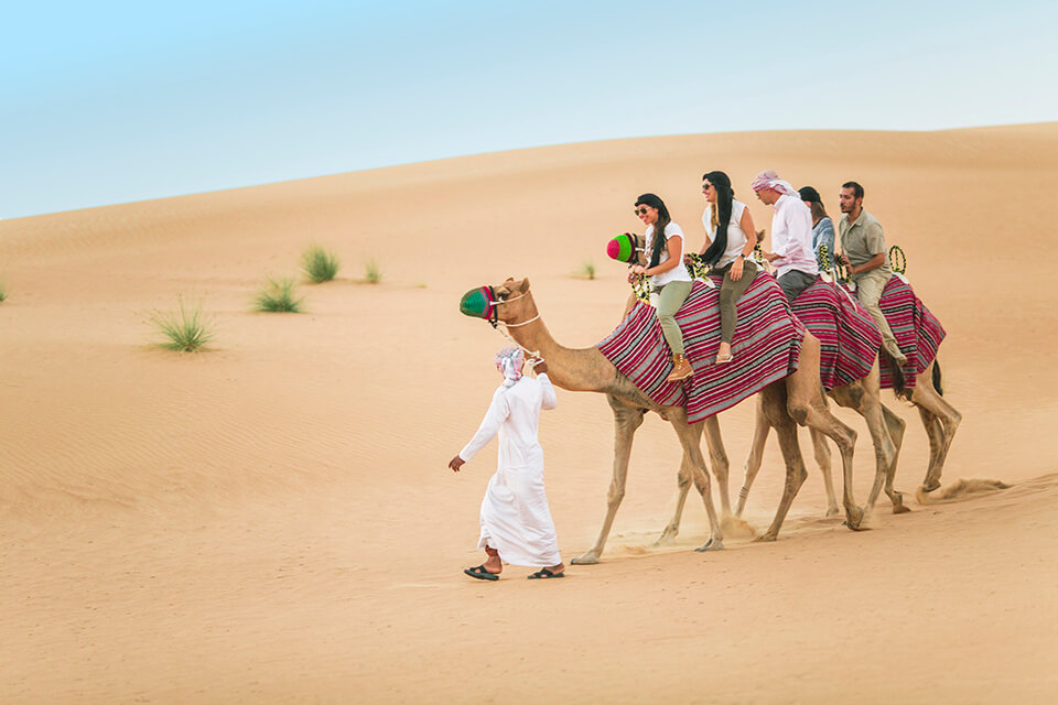 camel-desert-safari