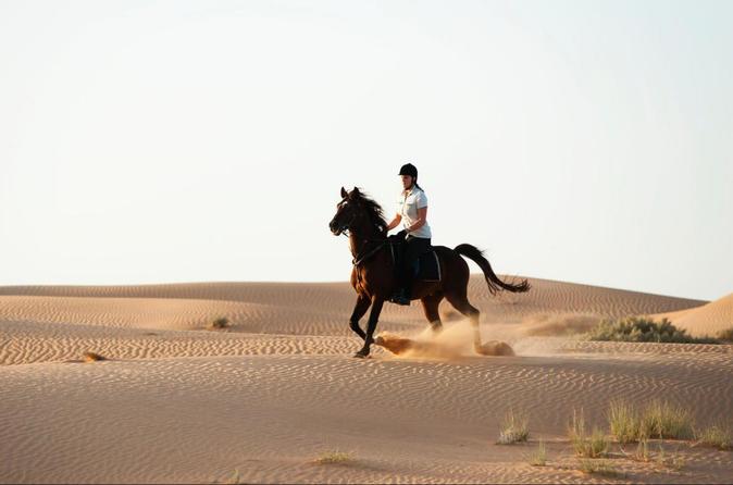 horse-desert-park-ride