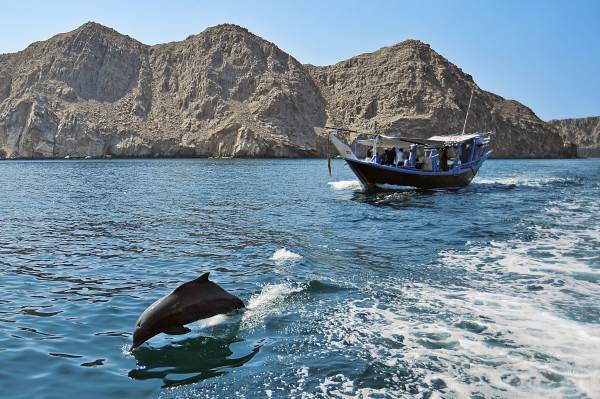 khasab-cruise-with-dolphin-watching